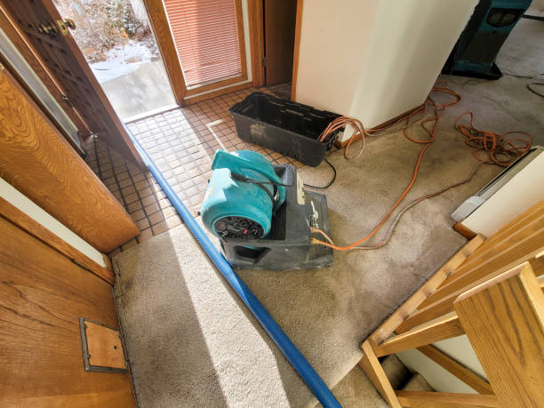 Professional Water damage restoration in Volga, SD