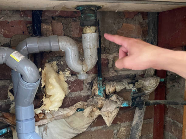Best Mold removal after water damage  in Volga, SD