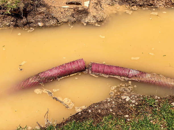 Volga, SD Water damage restoration Company